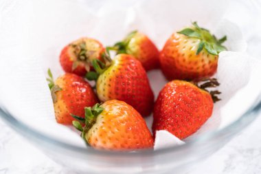 Taze yıkanmış ve kurutulmuş çilekler kağıt havluyla kaplı cam bir kasede dikkatlice düzenlenir. Atıştırmaya ya da daha fazla kullanılmaya hazır hale getirilir..