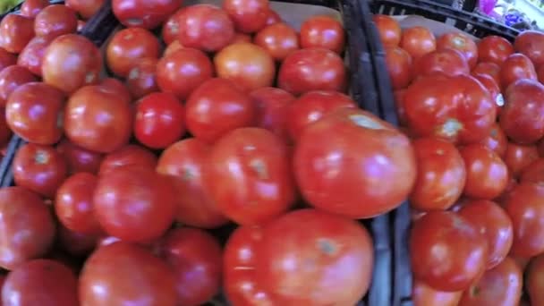 Tomaten auf Sommer-Bauernmarkt — Stockvideo