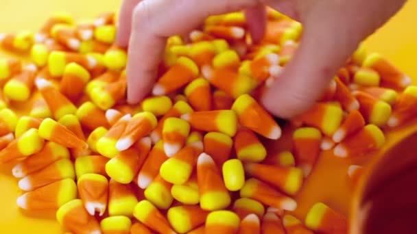 Candy corn, behandelt — Stockvideo