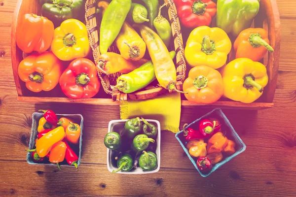 Variety of fresh organic peppers — Stock Photo, Image