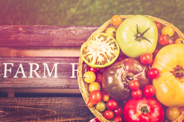 Tasty Heirloom Tomatoes — Stock Photo, Image