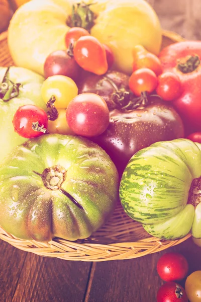 Organische erfstuk tomaten — Stockfoto