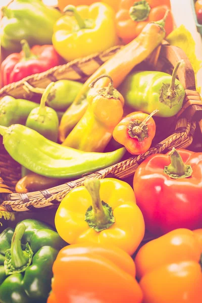 Variety of fresh organic peppers — Stock Photo, Image