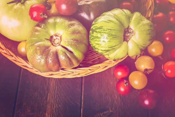 Organische erfstuk tomaten — Stockfoto