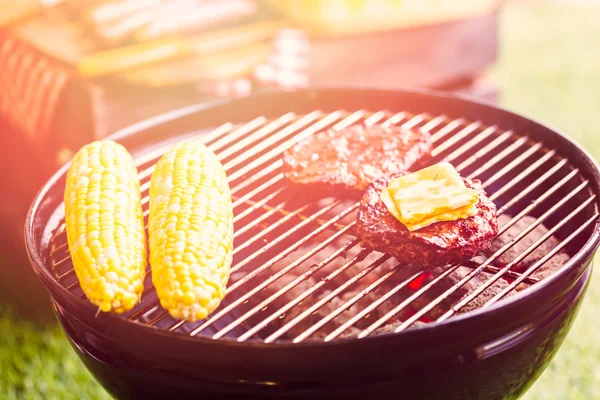 夏天野餐视图 — 图库照片