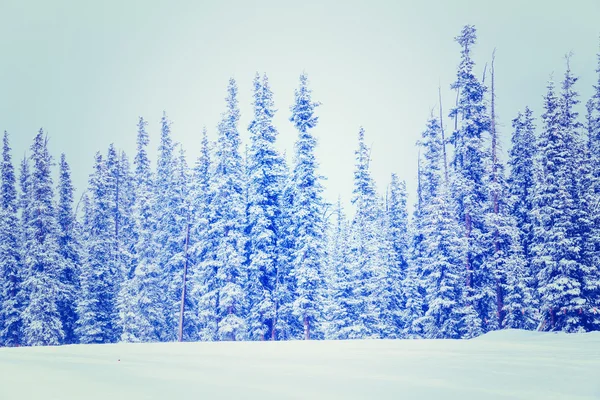 滑雪度假村视图 — 图库照片