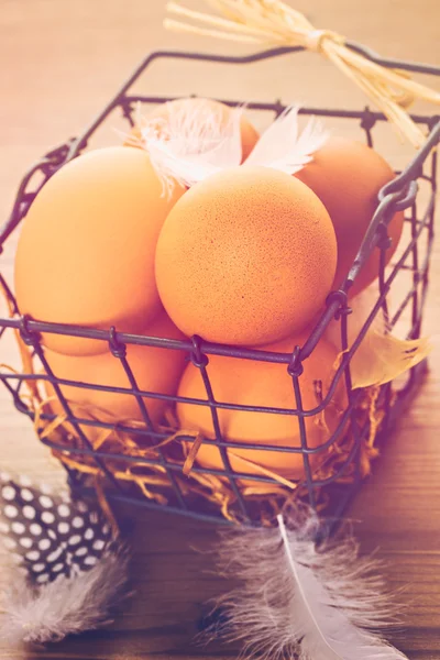 Fresh farm eggs — Stock Photo, Image