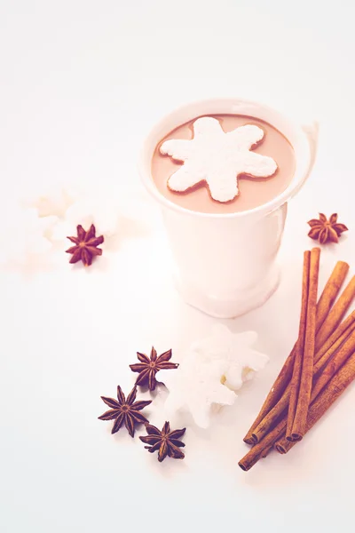 Homemade hot chocolate — Stock Photo, Image