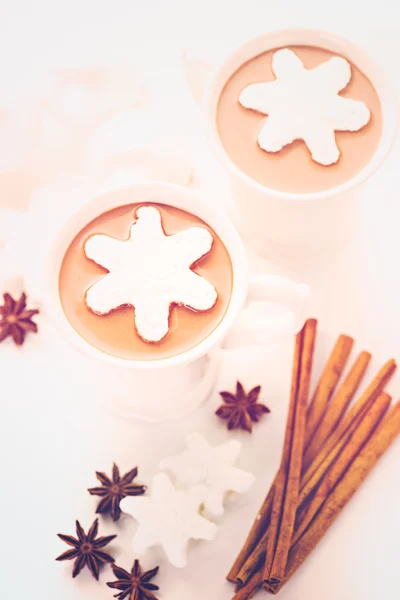 Homemade hot chocolate — Stock Photo, Image