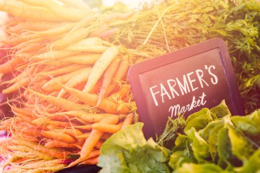 taze organik ürünler