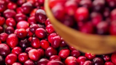 Organik taze kızılcık