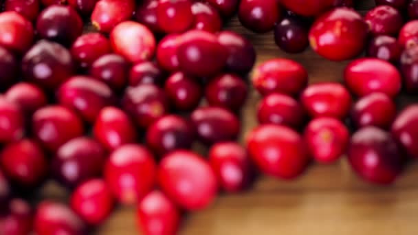 Organic fresh cranberries — Stock Video