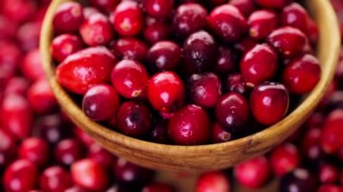 Organik taze kızılcık