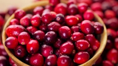 Organik taze kızılcık