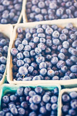 taze organik ürünler