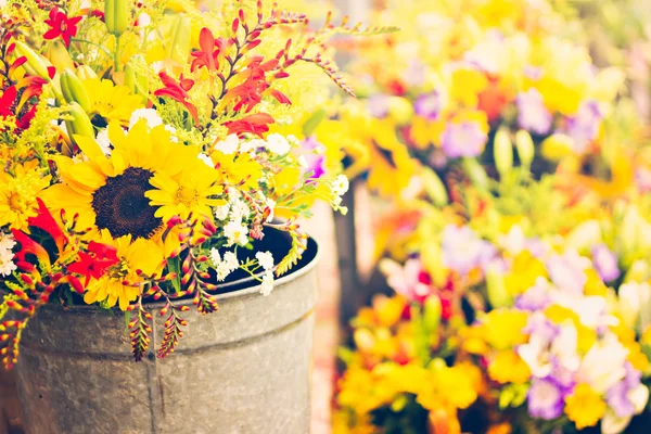 여름 꽃 가까이 — 스톡 사진