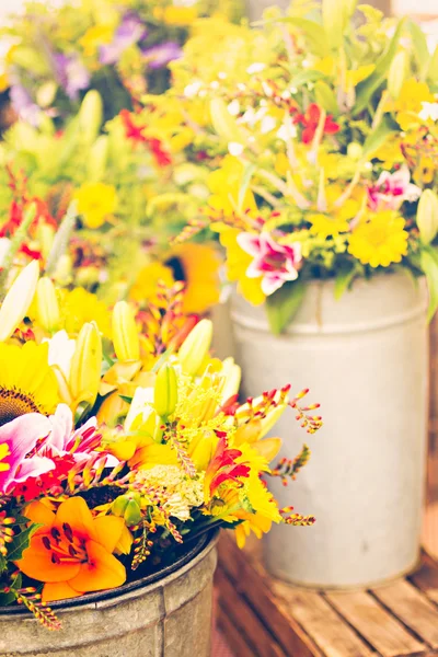 Flores de verão fechar — Fotografia de Stock