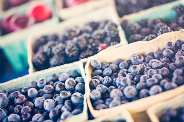 Beeren aus frischen Produkten — Stockfoto