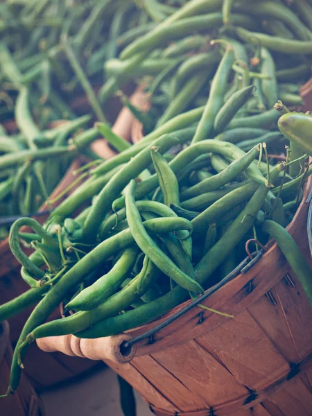 Pimentos de feijão verde — Fotografia de Stock