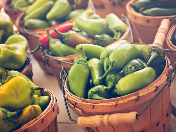 Pimientos verdes frescos — Foto de Stock