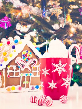 Şeker ile dekore edilmiş ev gingerbread