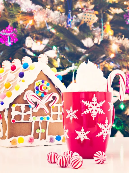 Şeker ile dekore edilmiş ev gingerbread