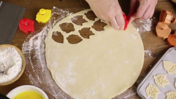 Stampante per biscotti alla zucca — Video Stock