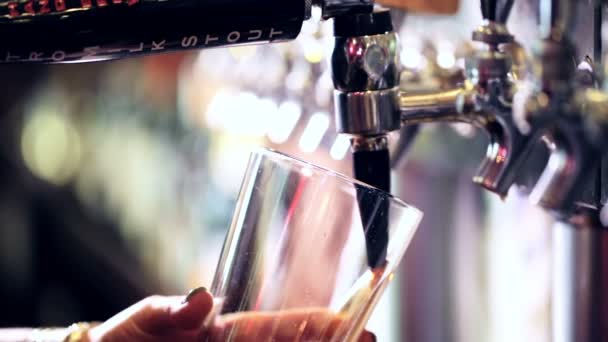 Разливать разливное пиво в баре — стоковое видео