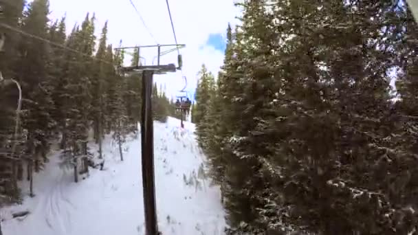 Vinter dag, alpin skidåkning — Stockvideo