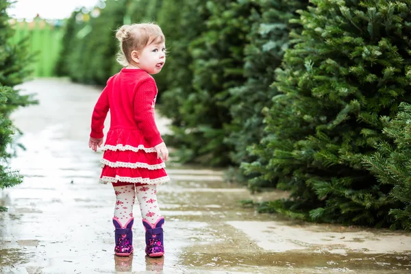 Χαριτωμένο κορίτσι μικρό παιδί, Χριστουγεννιάτικα — Φωτογραφία Αρχείου
