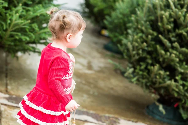 Menina bonito da criança, Christmass — Fotografia de Stock