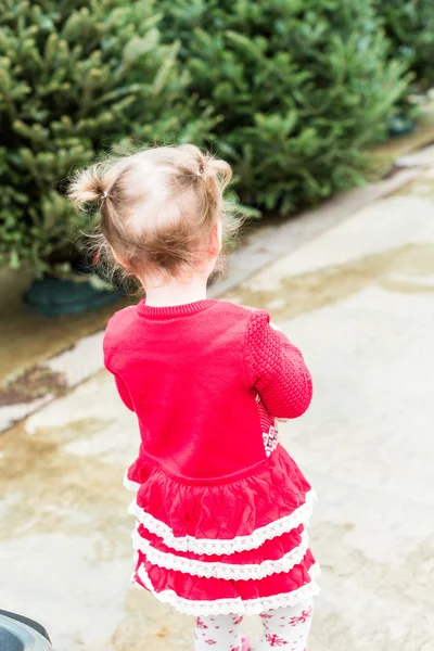 Söta barn girl, Christmass — Stockfoto