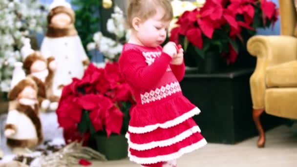 Niedliches Kleinkind Mädchen, Weihnachtsmesse — Stockvideo