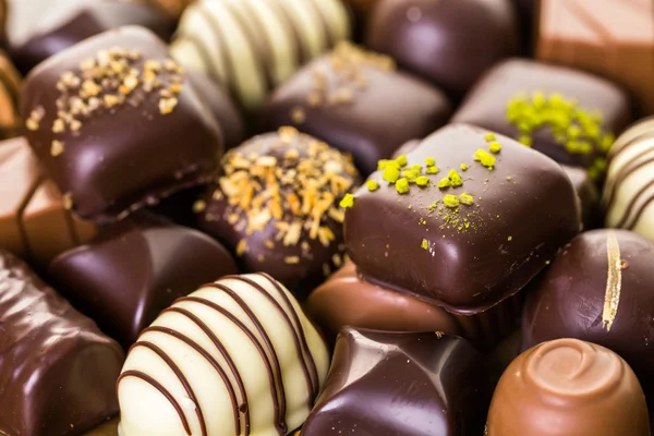 Gourmet assorted chocolates — Stock Photo, Image