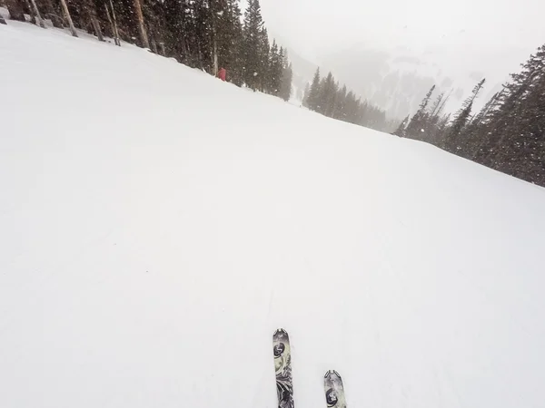 冬天的一天，高山滑雪 — 图库照片