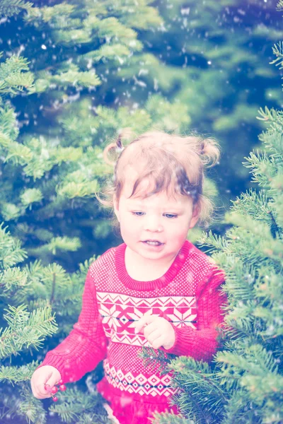 Kisgyermek lány keresi a karácsonyfa — Stock Fotó