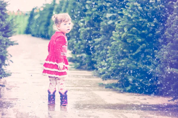 Peuter meisje op zoek naar kerstboom — Stockfoto
