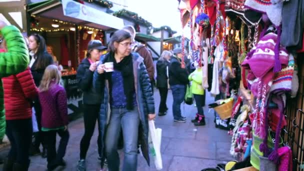 Αγορά Christkindl στο πάρκο στον ορίζοντα — Αρχείο Βίντεο