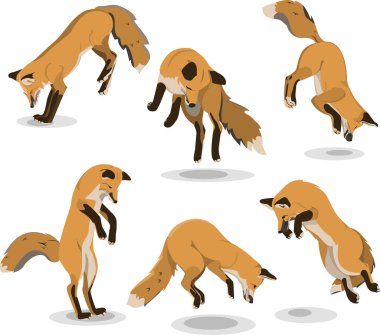 Tilki ile vektör illüstrasyon. Zıplayan bir tilki görüntüsü