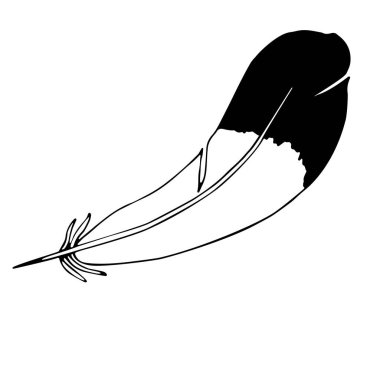 Bir kalemin vektör çizimi. Saksağan tüyü gibi izole edilmiş bir görüntü. Karalama tarzında siyah beyaz tüy.