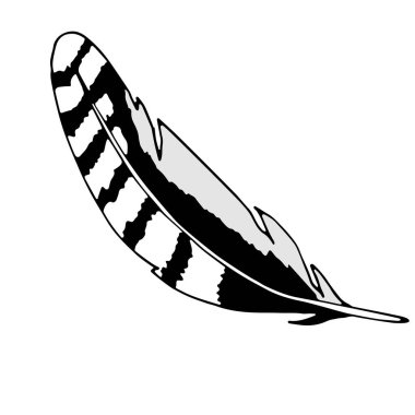 Blue Jay Feather Free Vector Eps Cdr Ai Svg Vector Illustration Graphic Art Blue Jay Feather Free Vector Eps Cdr Ai Svg Vector Illustration Graphic Art