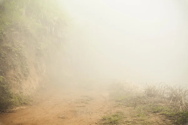 Ground road through bamboo forest at misty morning. — Stock Photo, Image