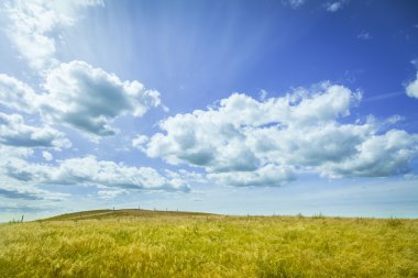 Beautiful prairie landscape with blue sky and clouds