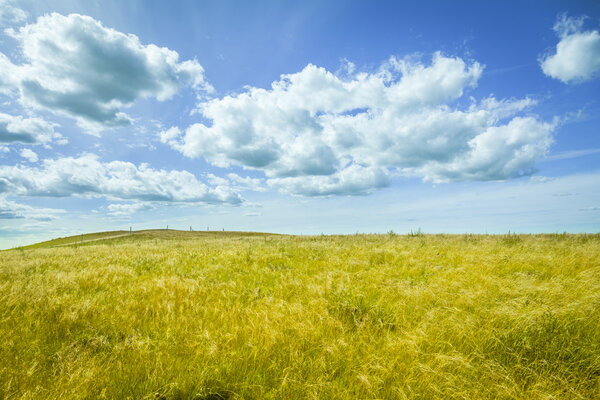 Beautiful prairie landscape with blue sky and clouds