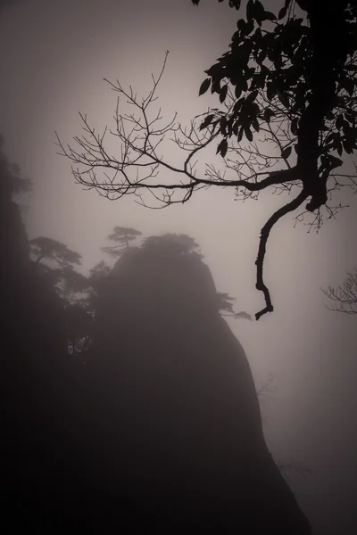 Landskap av dimma bergen i Kina — Stockfoto