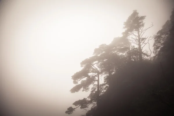 Paesaggio di montagne di nebbia di Cina — Foto Stock