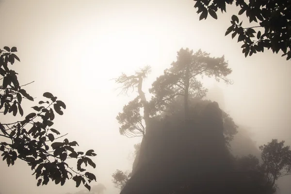 Landscape of fog mountains of china — Stock Photo, Image