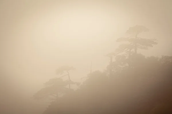 Paesaggio di montagne di nebbia di Cina — Foto Stock