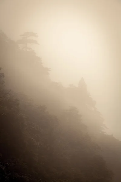 Paesaggio di montagne di nebbia di Cina — Foto Stock