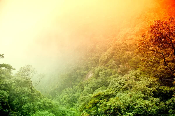 Paesaggio di montagne di nebbia di Cina — Foto Stock